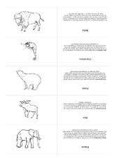 Kartei Zoo 02.pdf